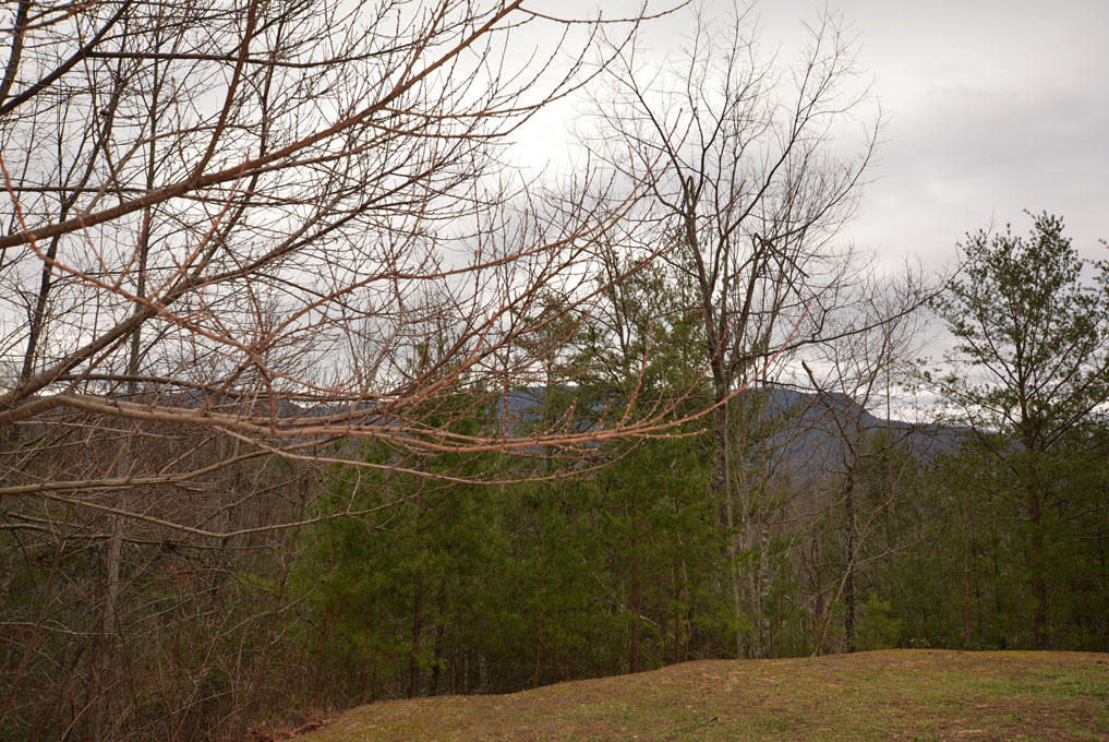 Lot 69 Big Bear Ridge Road Gatlinburg, TN 37738 - Photo 3 of 10 C
