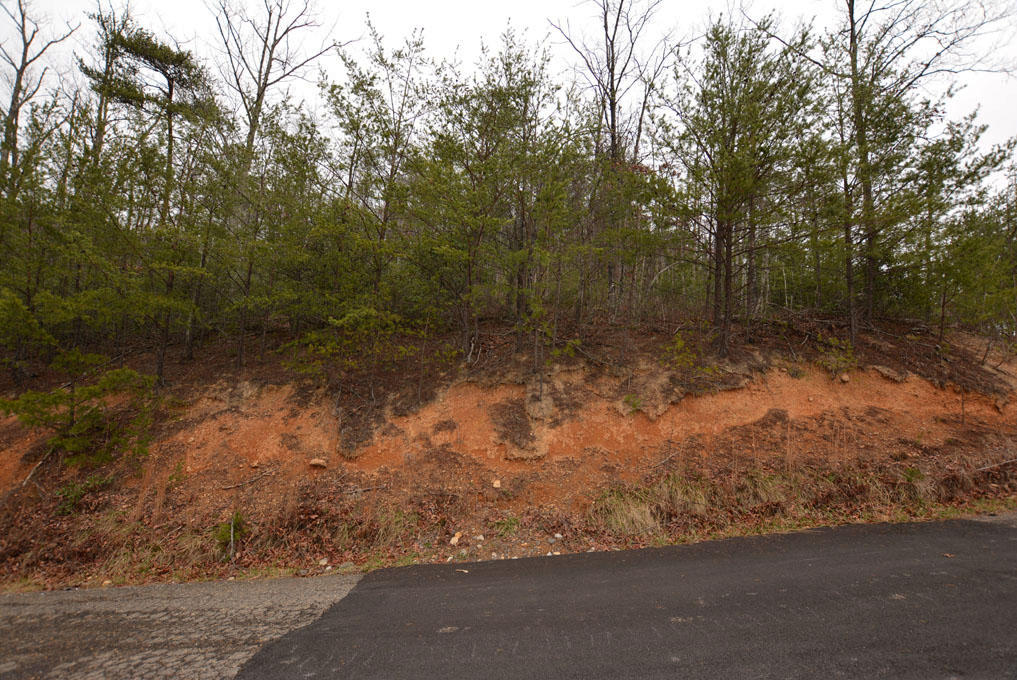 Lot 69 Big Bear Ridge Road Gatlinburg, TN 37738 - Photo 4 of 10 D