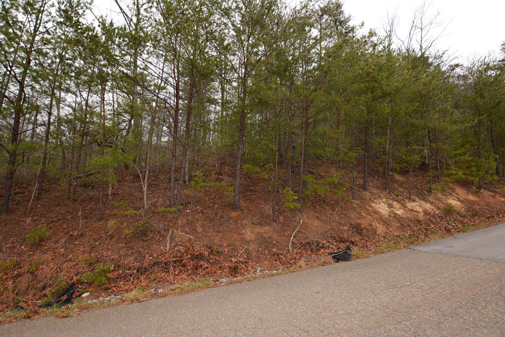 Lot 69 Big Bear Ridge Road Gatlinburg, TN 37738 - Photo 5 of 10 E