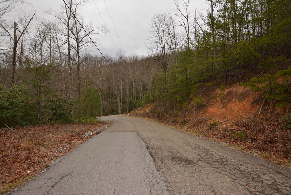 Lot 69 Big Bear Ridge Road Gatlinburg, TN 37738 - Photo 7 of 10 G