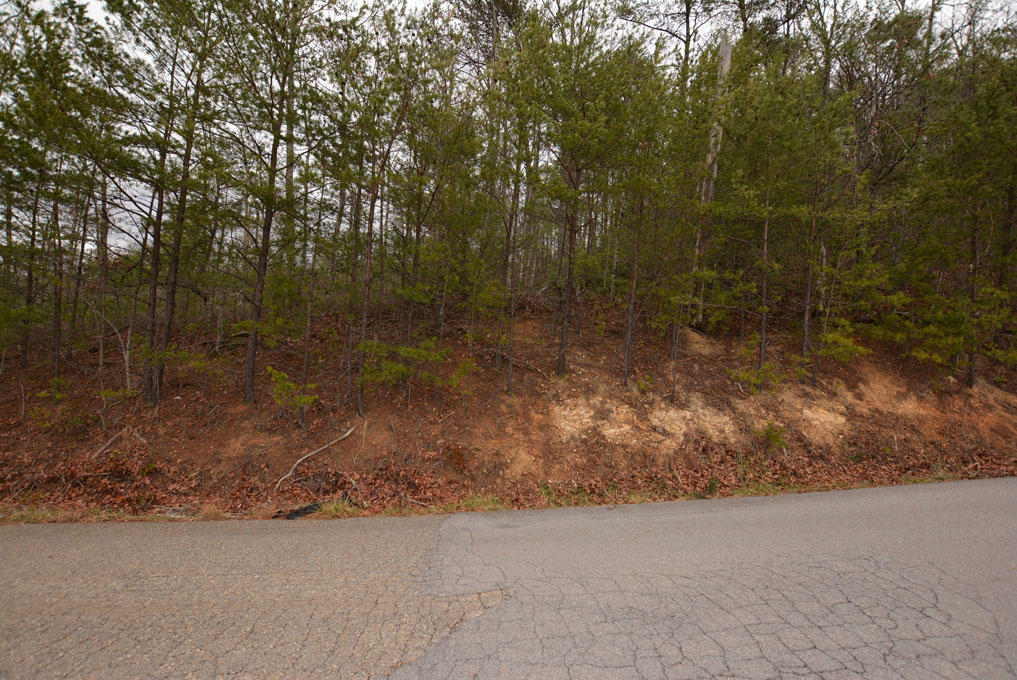 Lot 69 Big Bear Ridge Road Gatlinburg, TN 37738 - Photo 8 of 10 H
