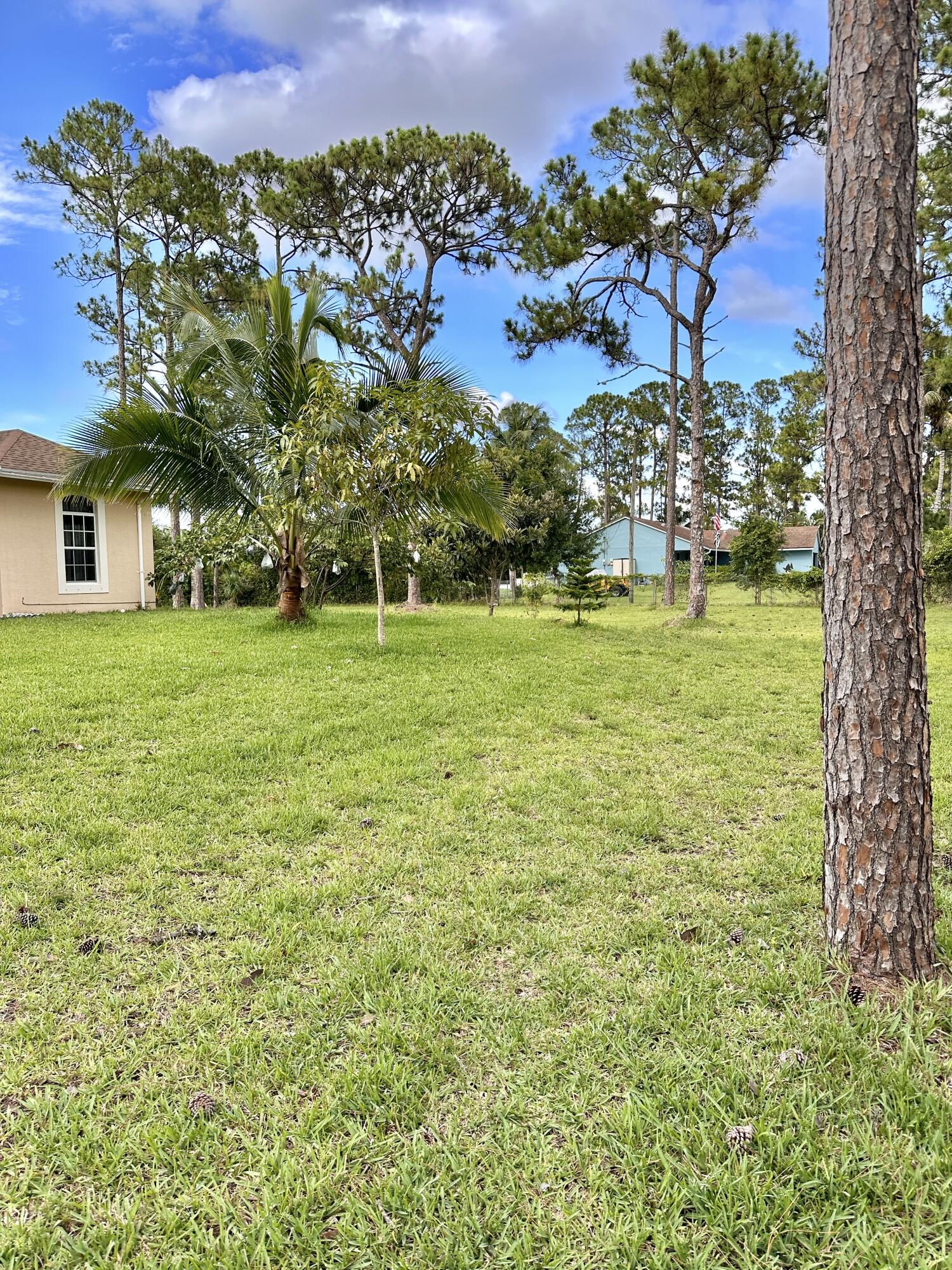 14085 86th Road North Loxahatchee, FL 33470 - Photo 3 of 28 a view of a big yard with a house in the background