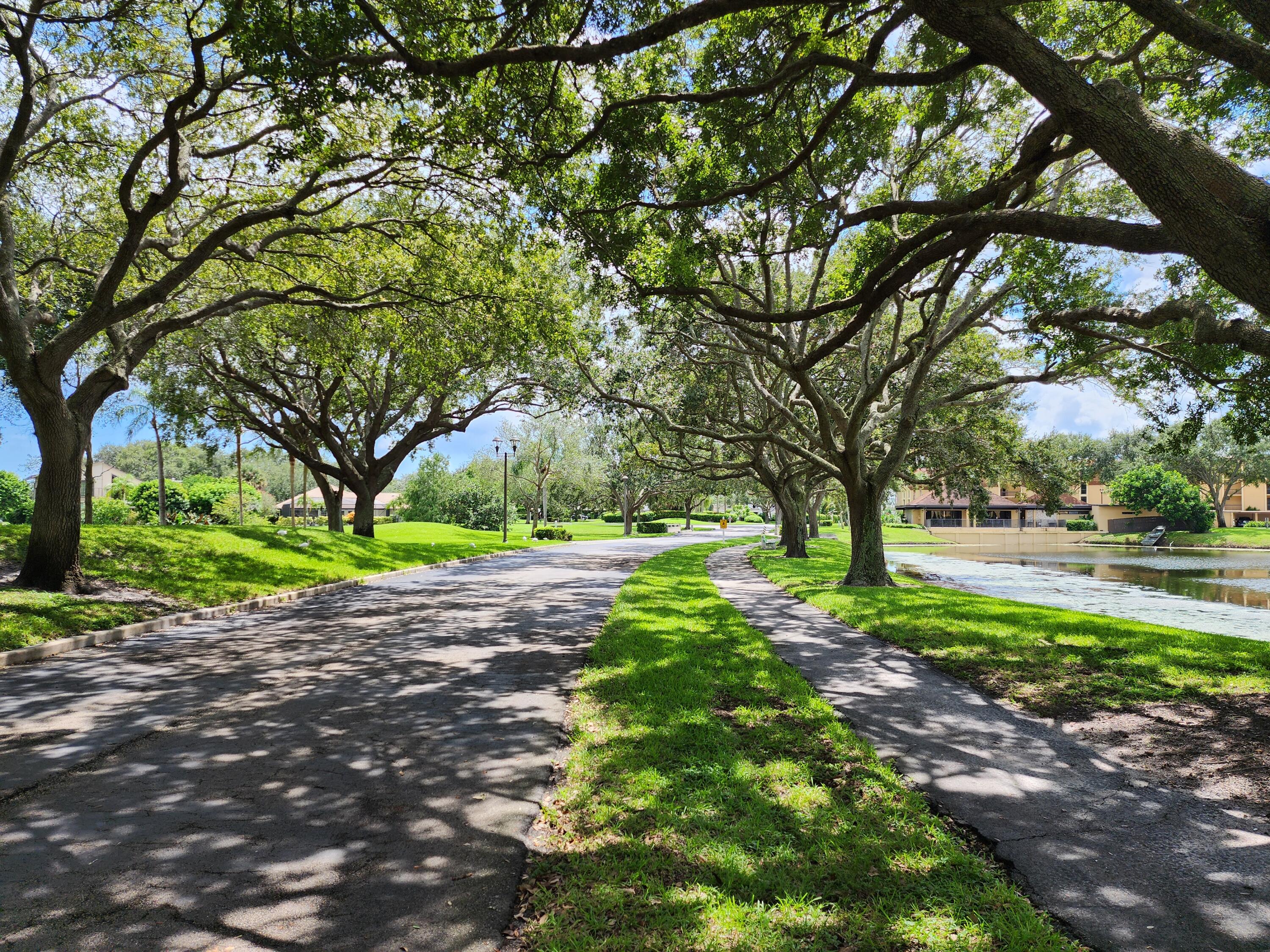 5344 Woodland Lakes Drive, Unit 223 Palm Beach Gardens, FL 33418 - Photo 45 of 46 a view of a yard with plants and trees