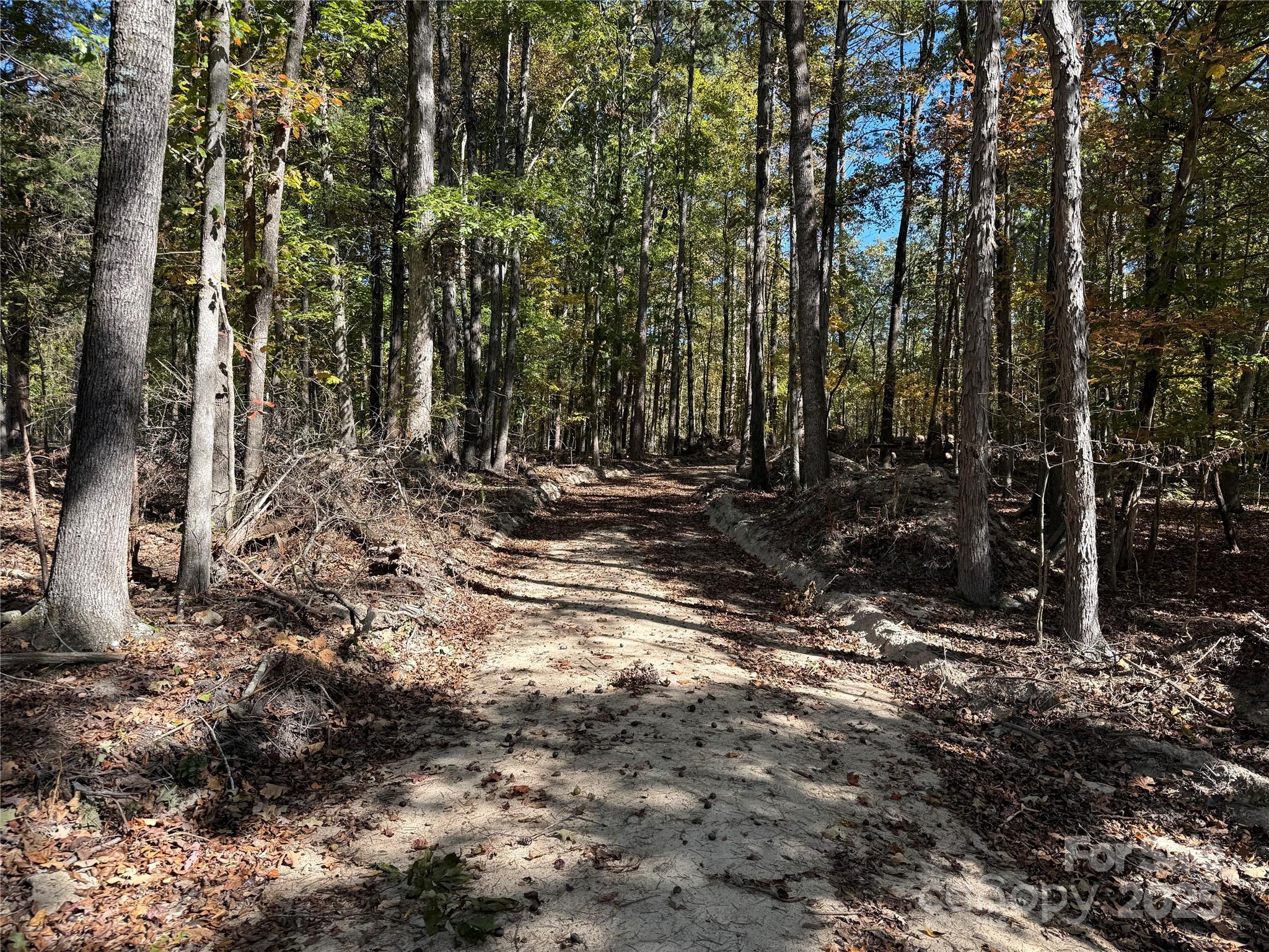 0 State Road China Grove, NC 28023 - Photo 1 of 12 a view of a forest with trees