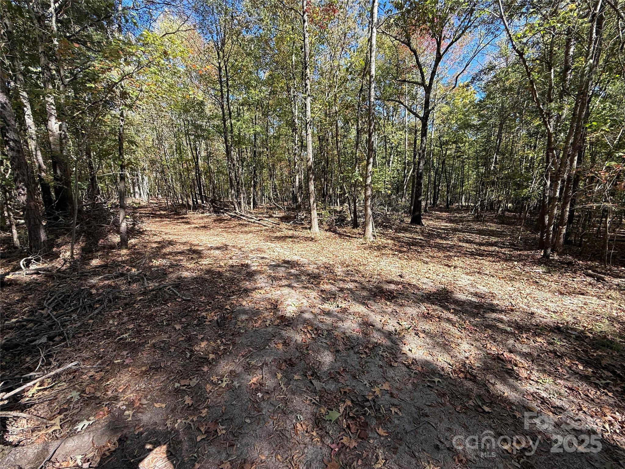 0 State Road China Grove, NC 28023 - Photo 11 of 12 a fire hydrant in the middle of a field