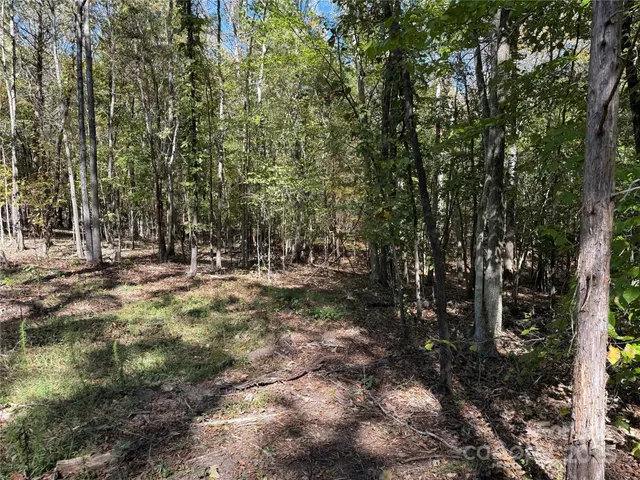 a view of outdoor space with trees