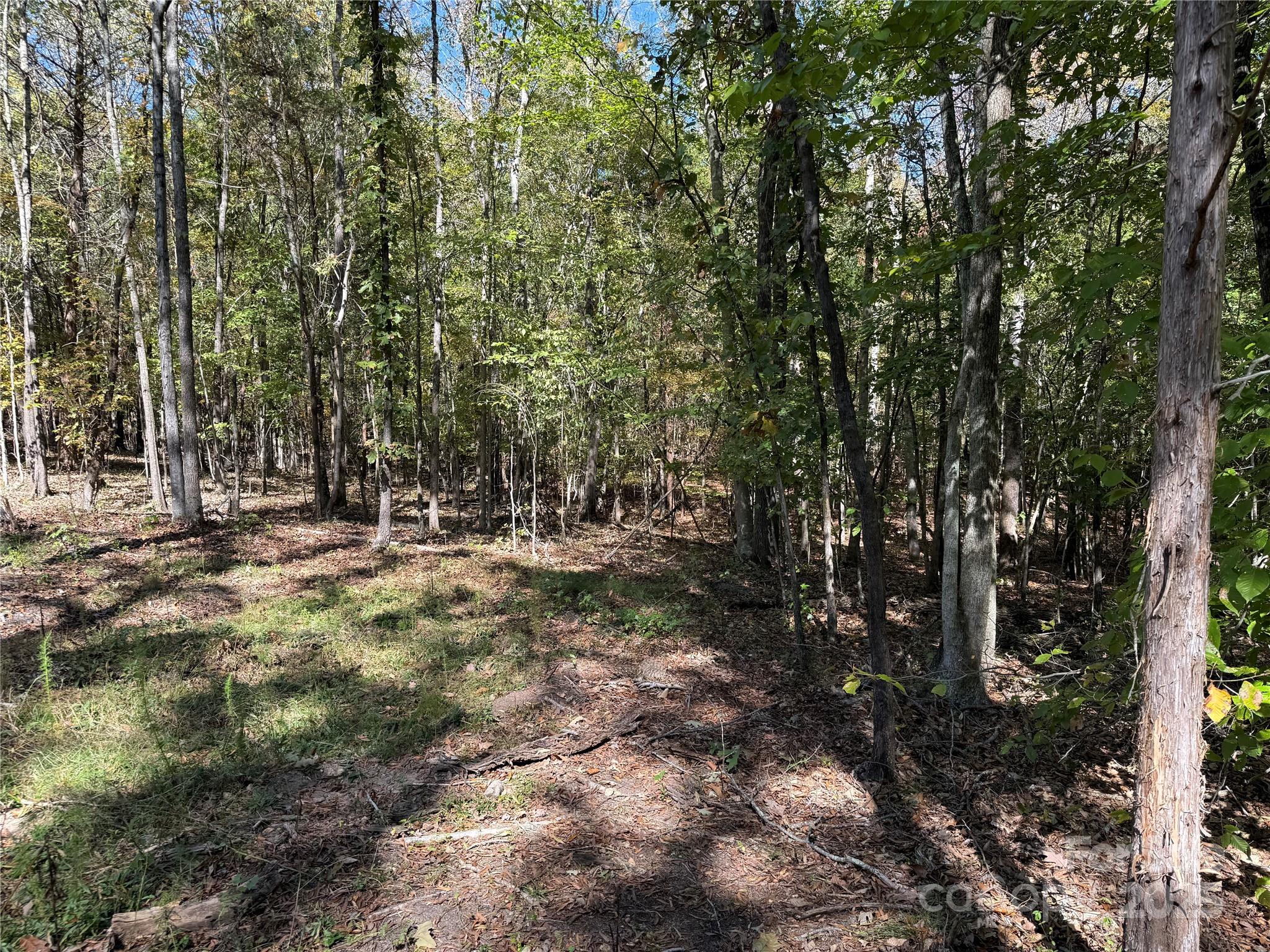 0 State Road China Grove, NC 28023 - Photo 3 of 12 a view of outdoor space with trees
