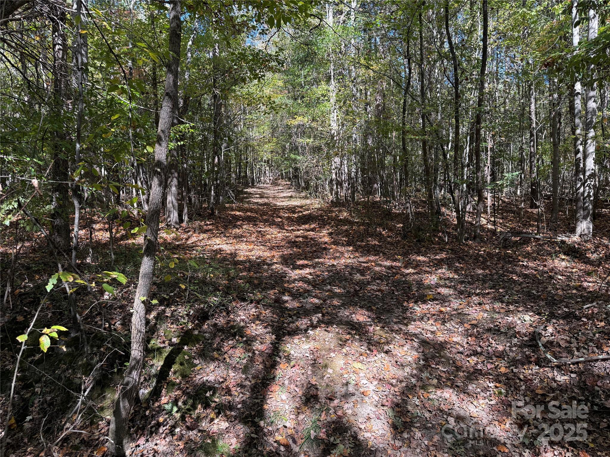 0 State Road China Grove, NC 28023 - Photo 6 of 12 a view of a forest with trees in the background