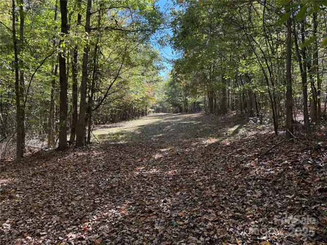 a view of a yard with large trees