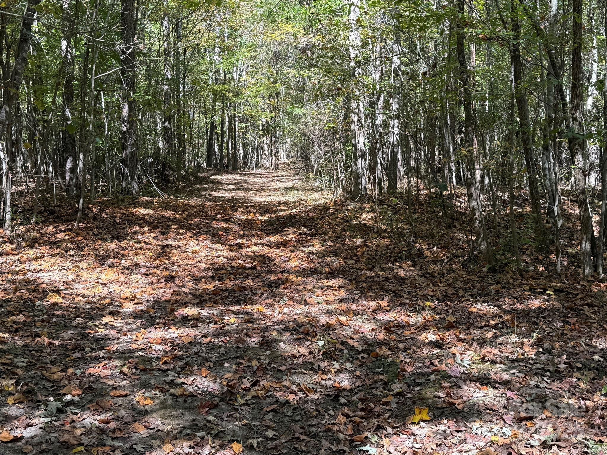 0 State Road China Grove, NC 28023 - Photo 9 of 12 a view of outdoor space and yard