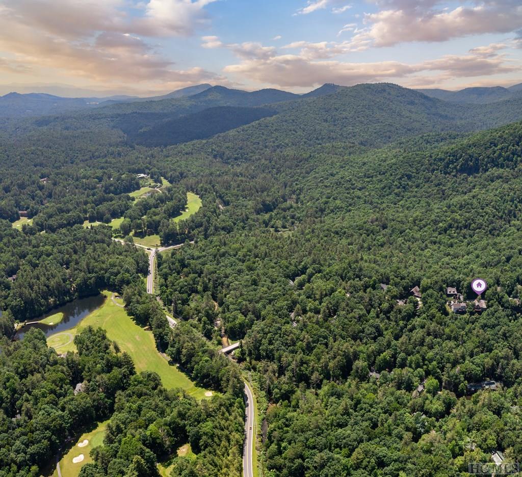 260 Deer Run Road Sapphire, NC 28774 - Photo 42 of 51 Gallery Image 42