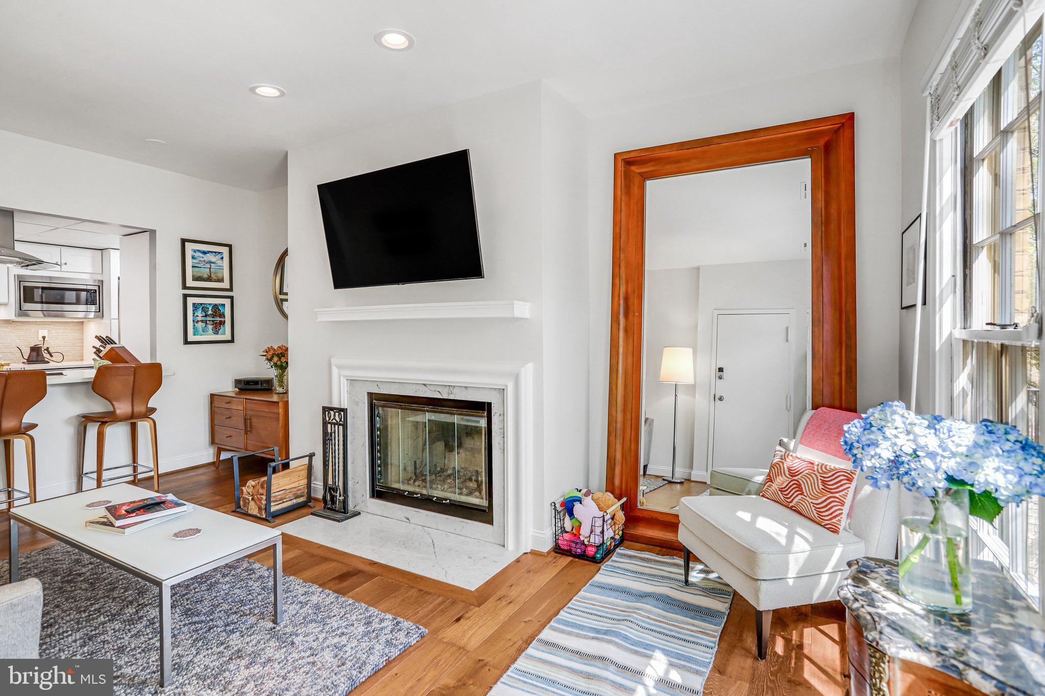 212 3rd Street Northeast, Unit A Washington, DC 20002 - Photo 3 of 20 Wood Burning Fireplace