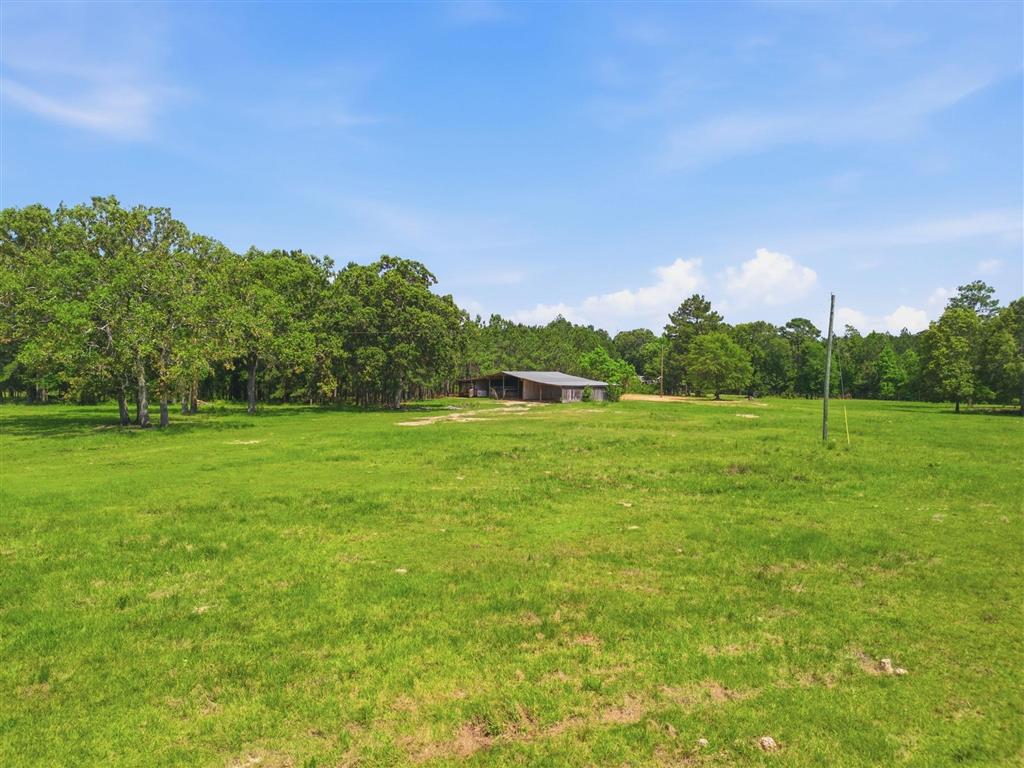 1262 Panhandle Road Dequincy, LA 70633 - Photo 9 of 9