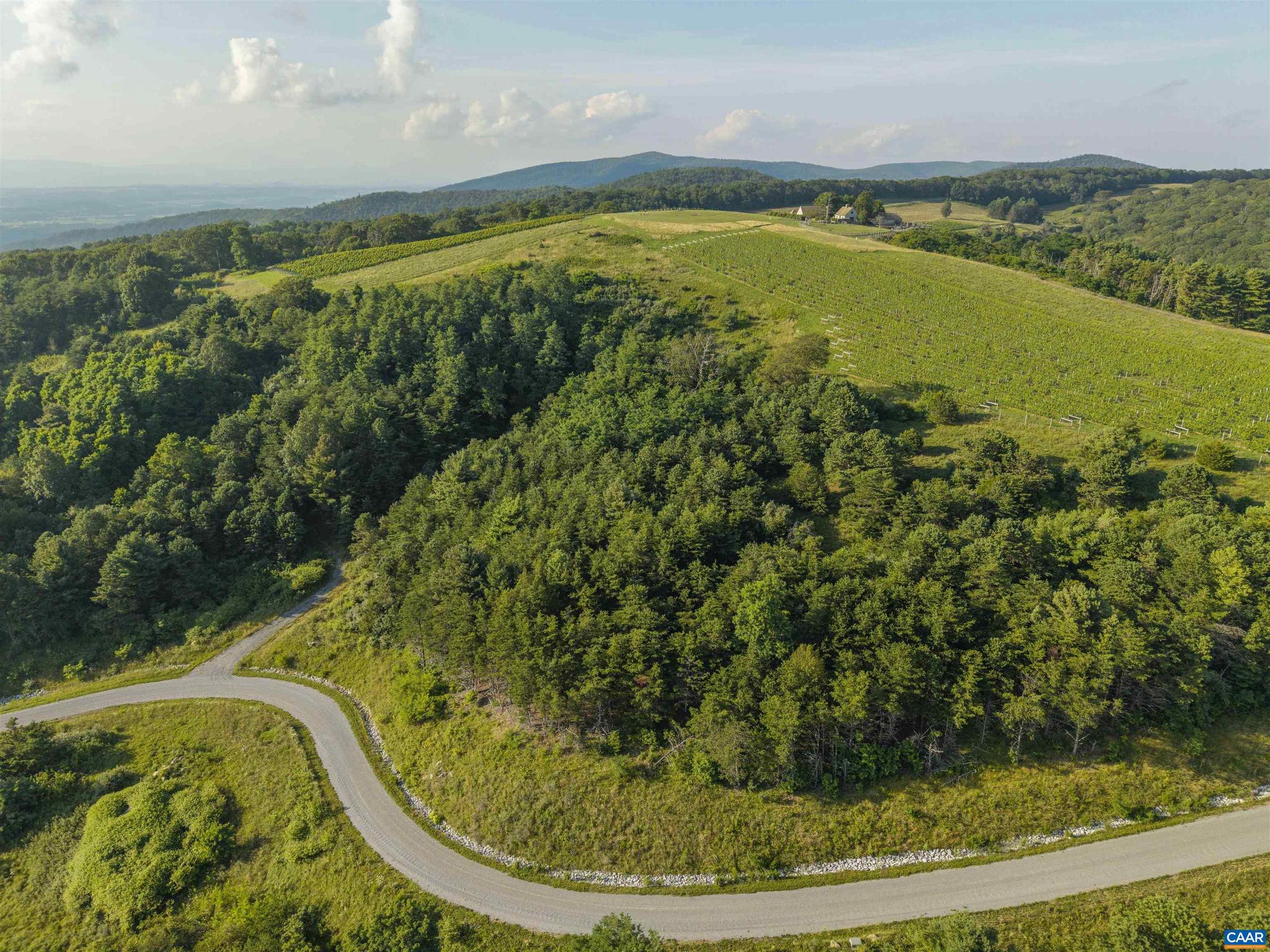 Lot 3 Twelve Rdgs Way, Unit 3 Vesuvius, VA 24483 - Photo 8 of 12