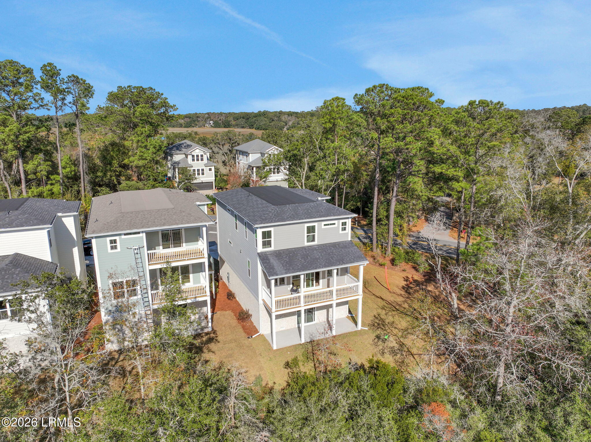 101 Heartleaf Road Hilton Head Island, SC 29926 - Photo 3 of 46 BLF_BaileysCove_Palmetto_101HeartleafRoa