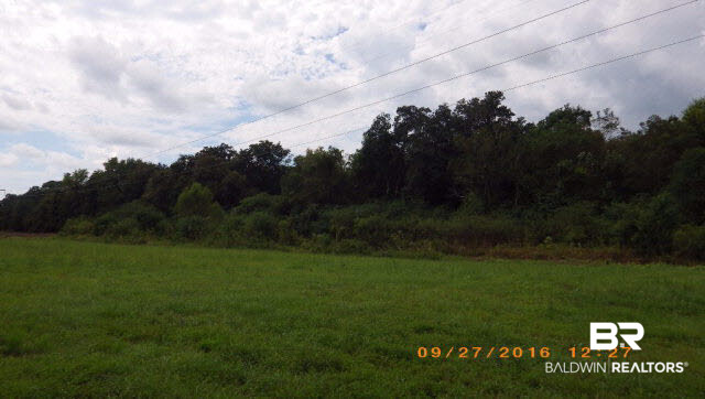 16910 Highway 98 Foley, AL 36535 - Photo 10 of 13