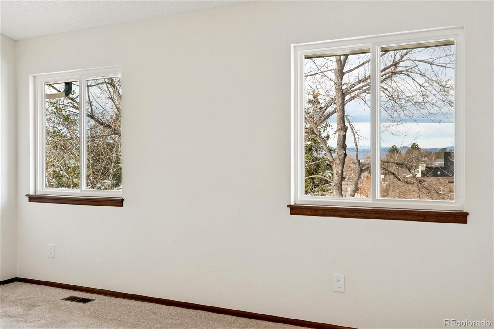 533 Old Stone Drive Highlands Ranch, CO 80126 - Photo 14 of 28