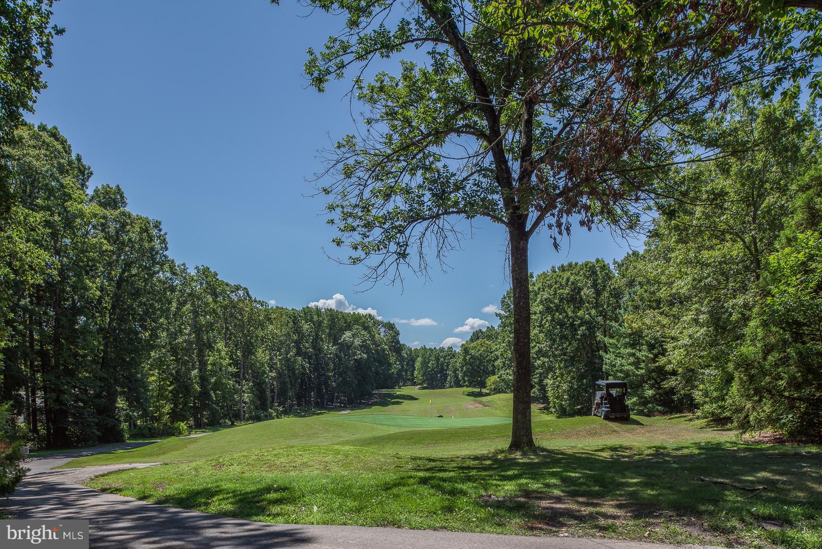217 Battlefield Road Locust Grove, VA 22508 - Photo 31 of 33 Golf Course