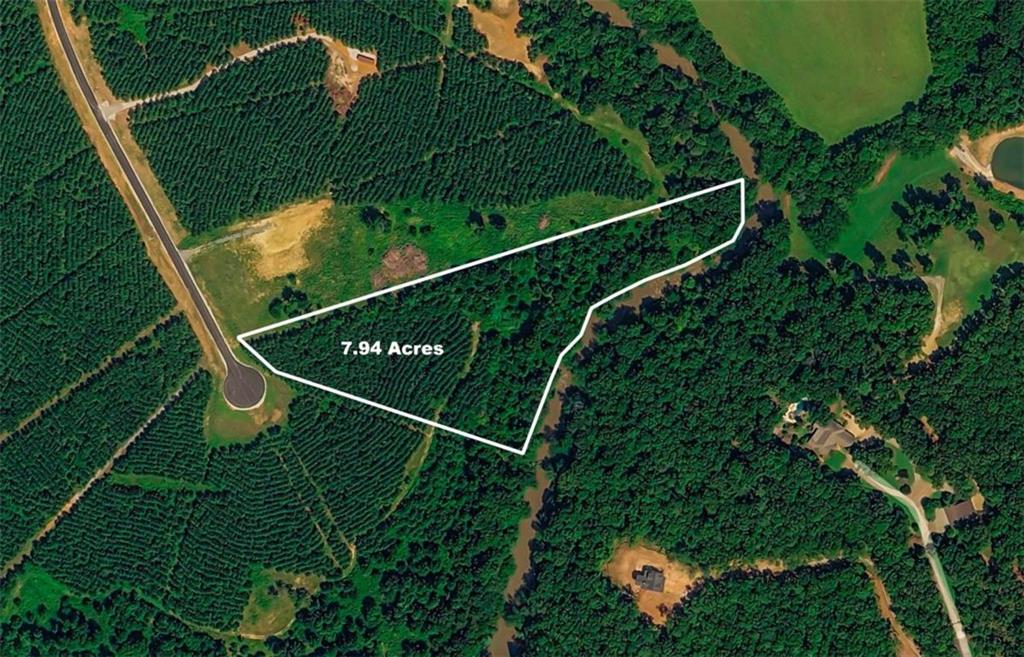 435 Steadman Road Tallapoosa, GA 30176 - Photo 5 of 6