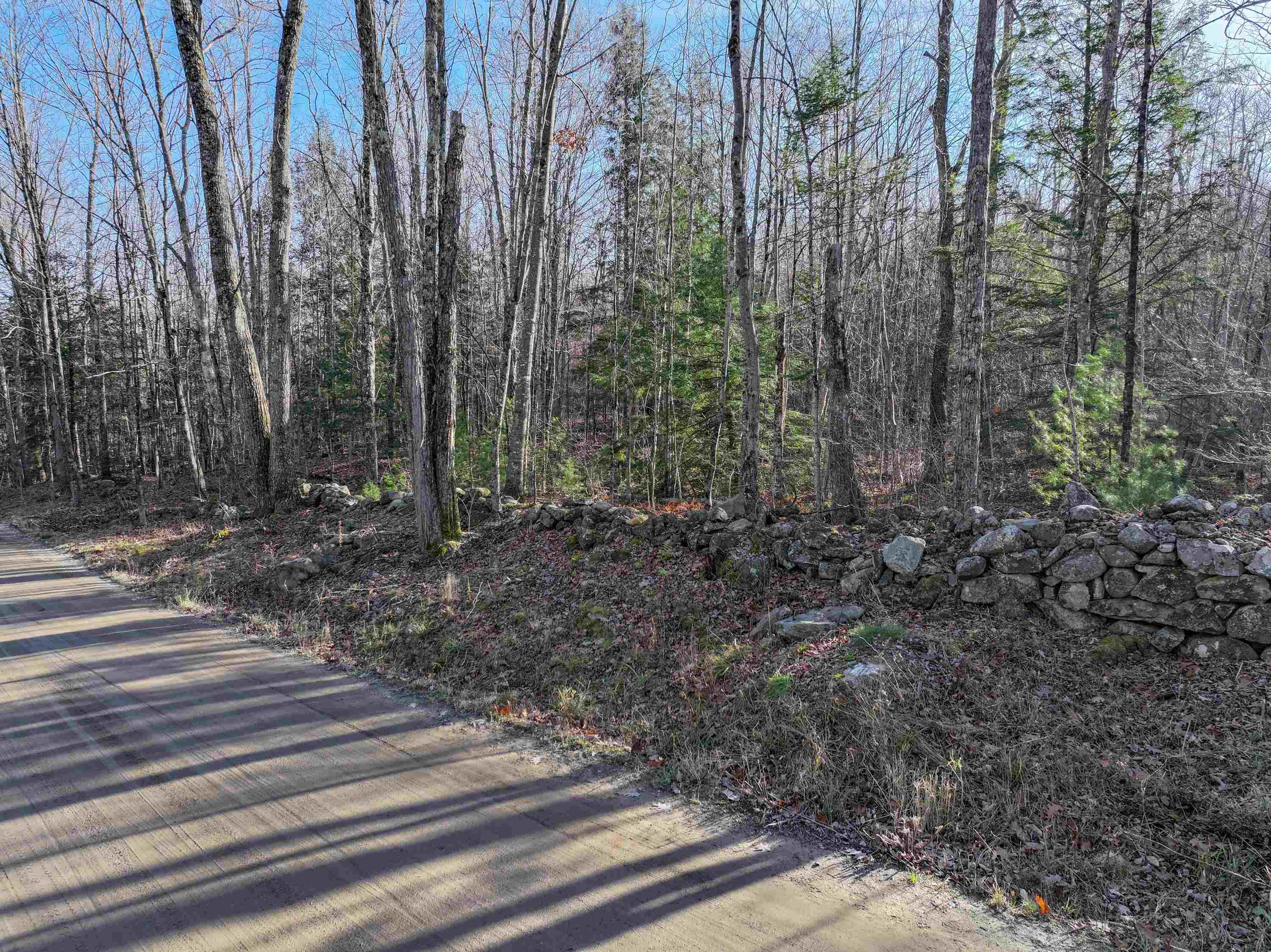 Dale Road, Unit 59B Sandwich, NH 03227 - Photo 15 of 24