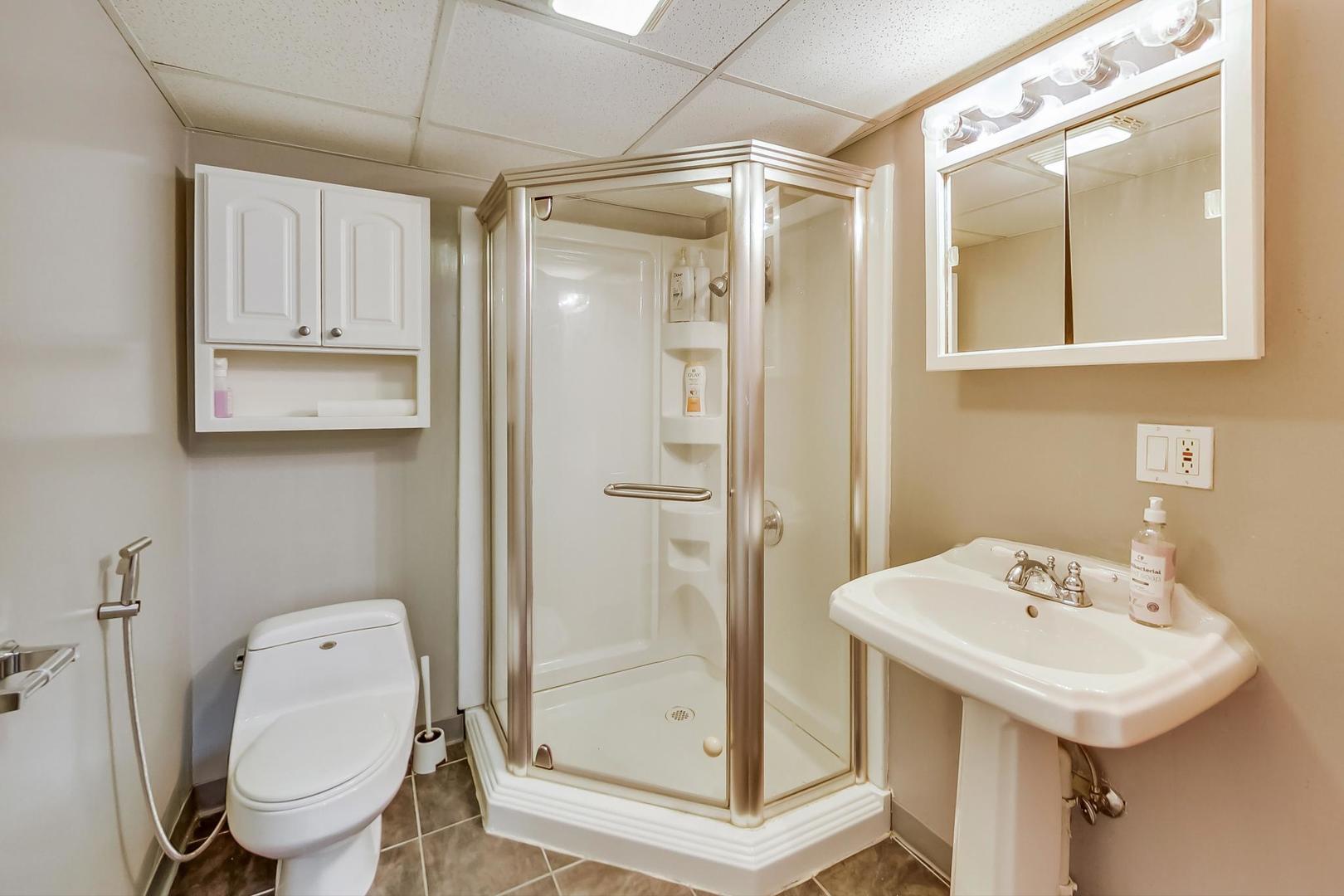 1218 Elliott Street Park Ridge, IL 60068 - Photo 18 of 24 a bathroom with a sink a toilet and shower