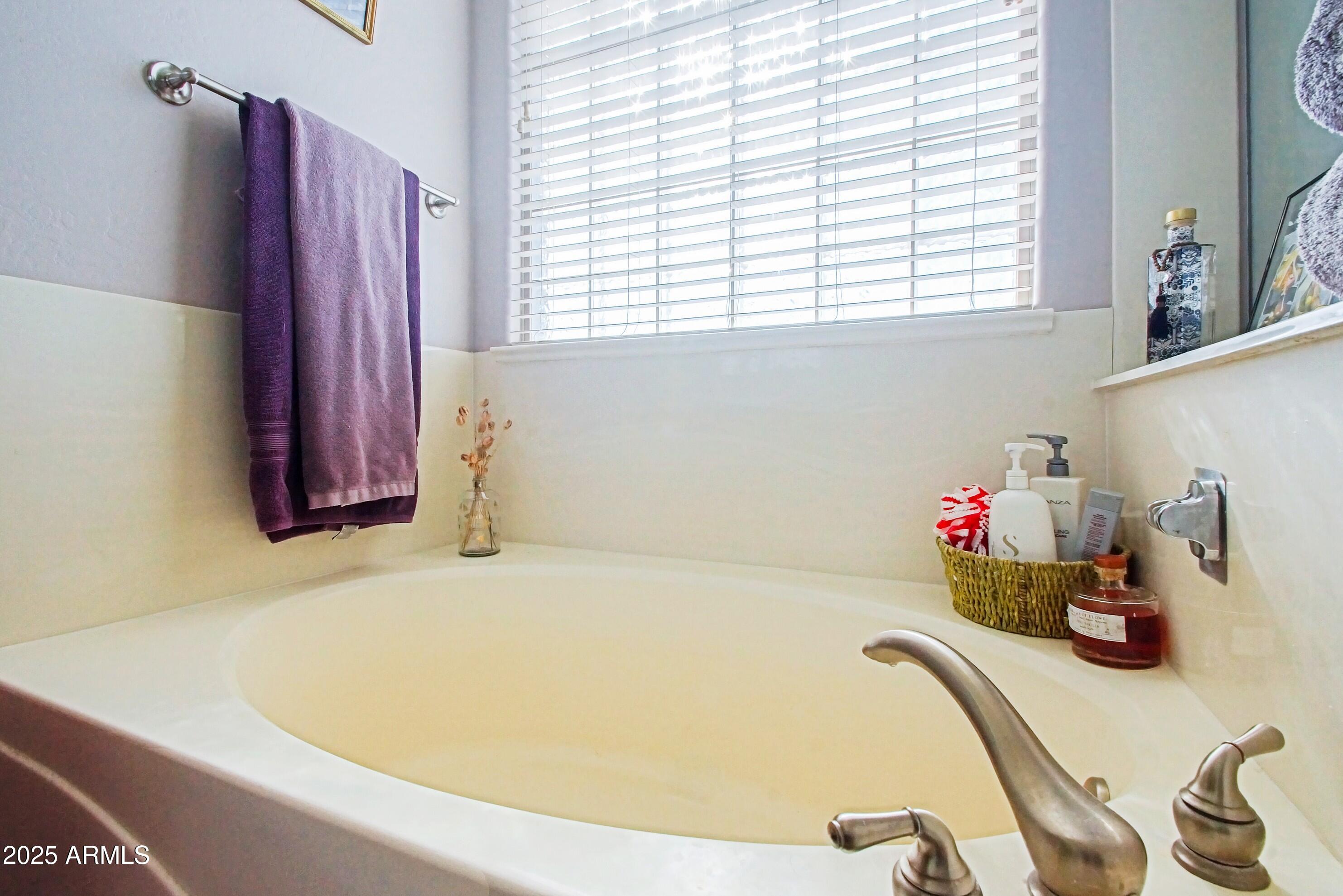 3441 West Florimond Road Phoenix, AZ 85086 - Photo 38 of 47 Master Bath 3
