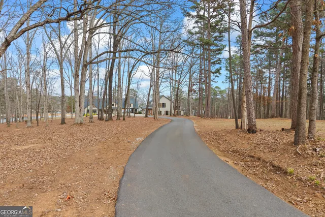 $3,500,000 | 300 Black Pt Drive, Hartwell, GA 30643