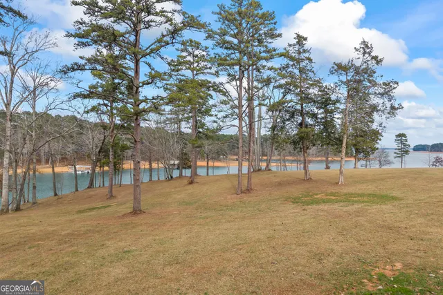 $3,500,000 | 300 Black Pt Drive, Hartwell, GA 30643