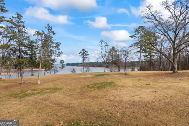 $3,500,000 | 300 Black Pt Drive, Hartwell, GA 30643