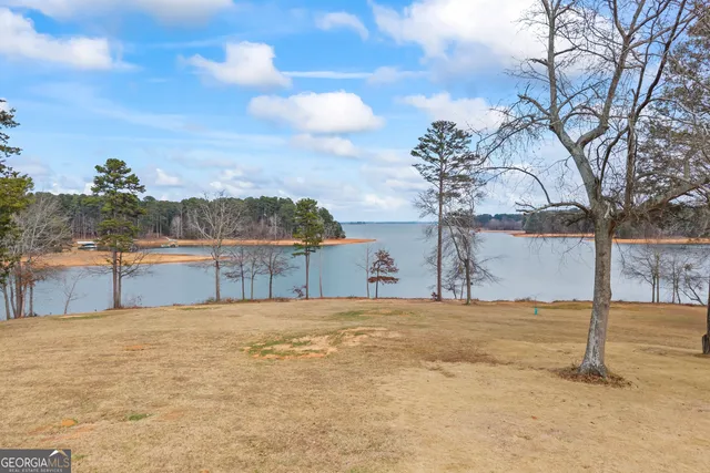 $3,500,000 | 300 Black Pt Drive, Hartwell, GA 30643