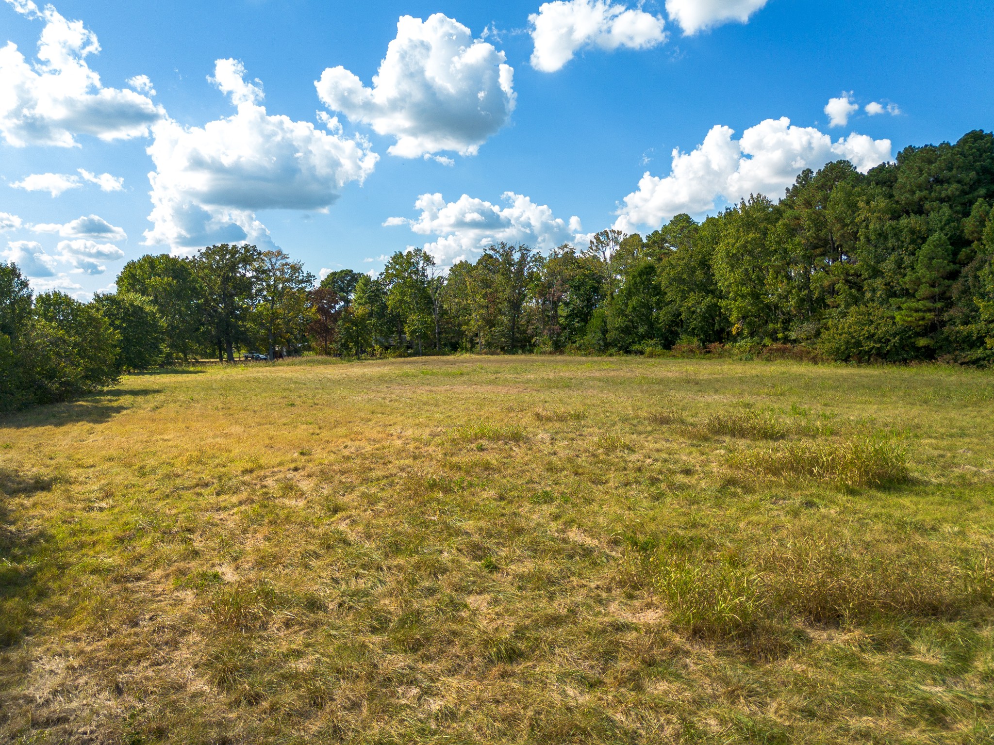 720 Payne Road Portland, TN 37148 - Photo 11 of 16 a view of a big yard with lots of palm trees