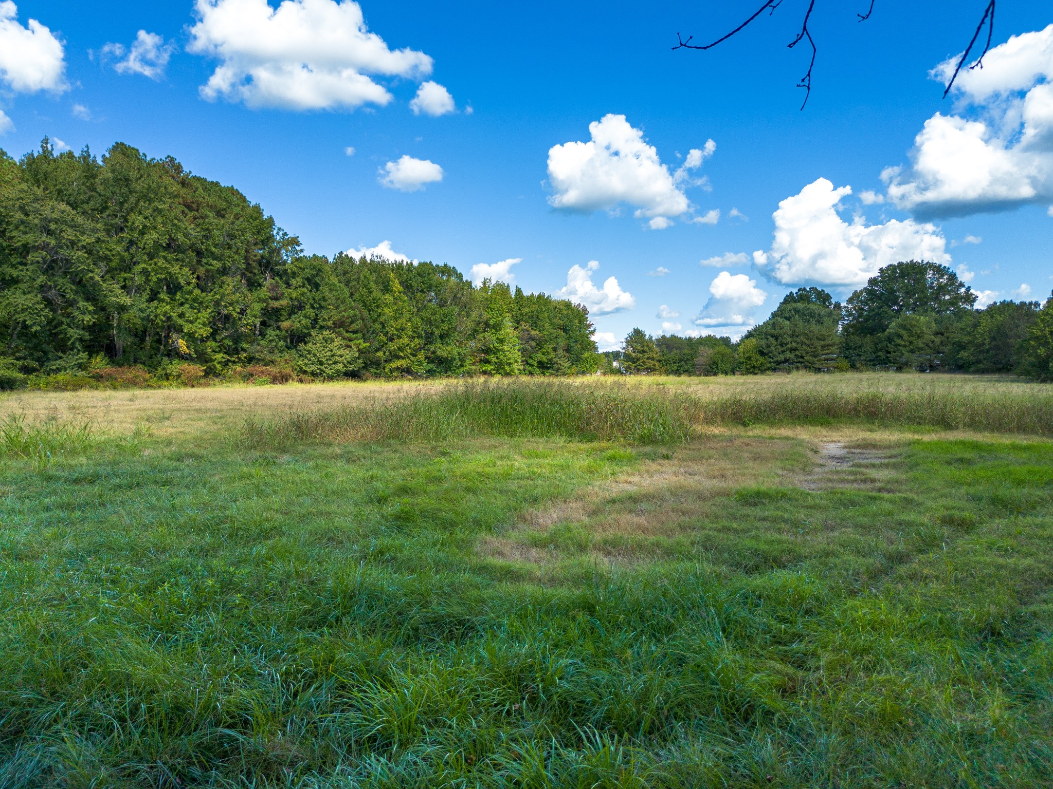 720 Payne Road Portland, TN 37148 - Photo 16 of 16 a view of a big yard with lots of green space and mountain view
