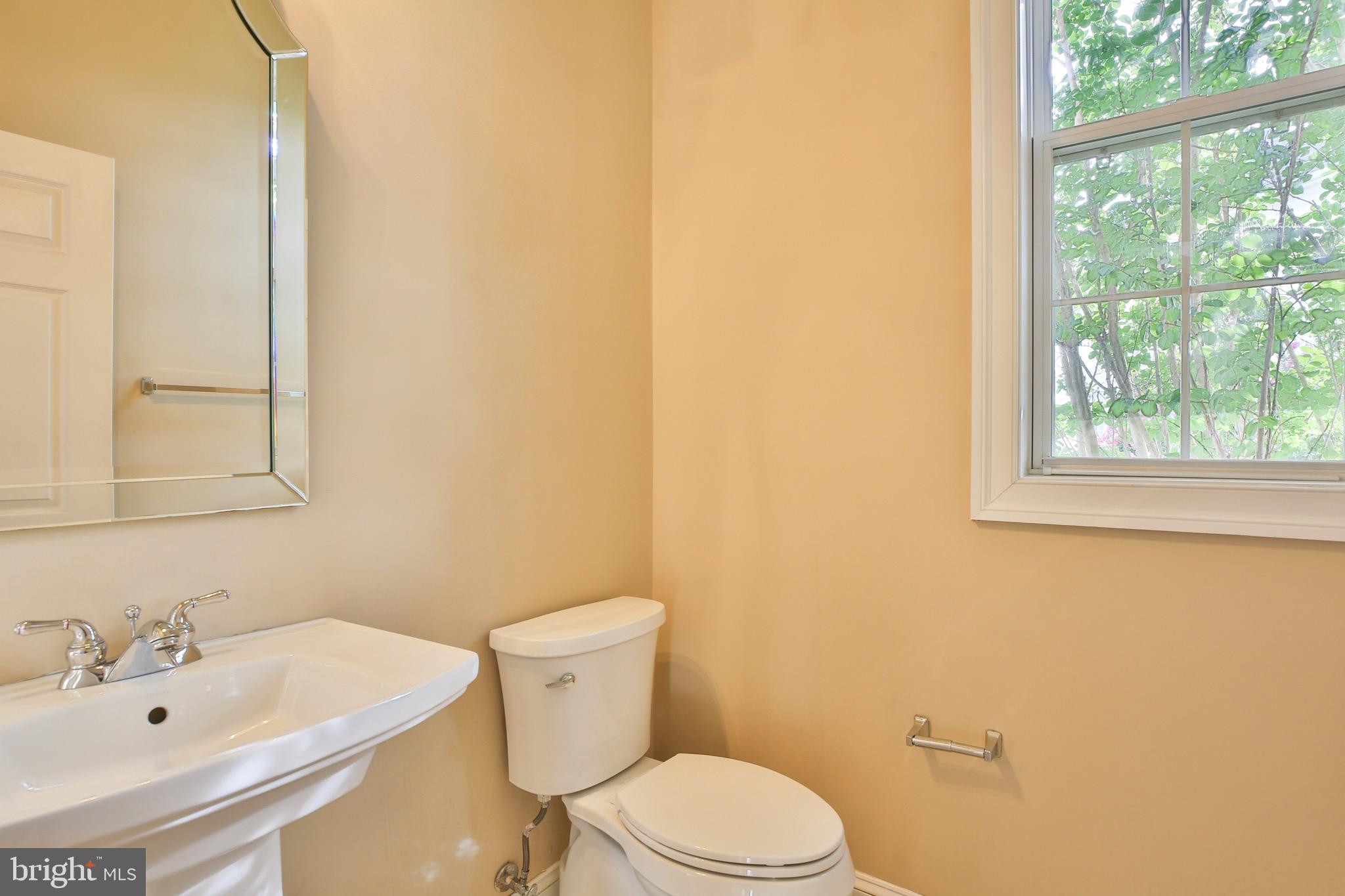 43388 Cedar Pond Place Chantilly, VA 20152 - Photo 33 of 67