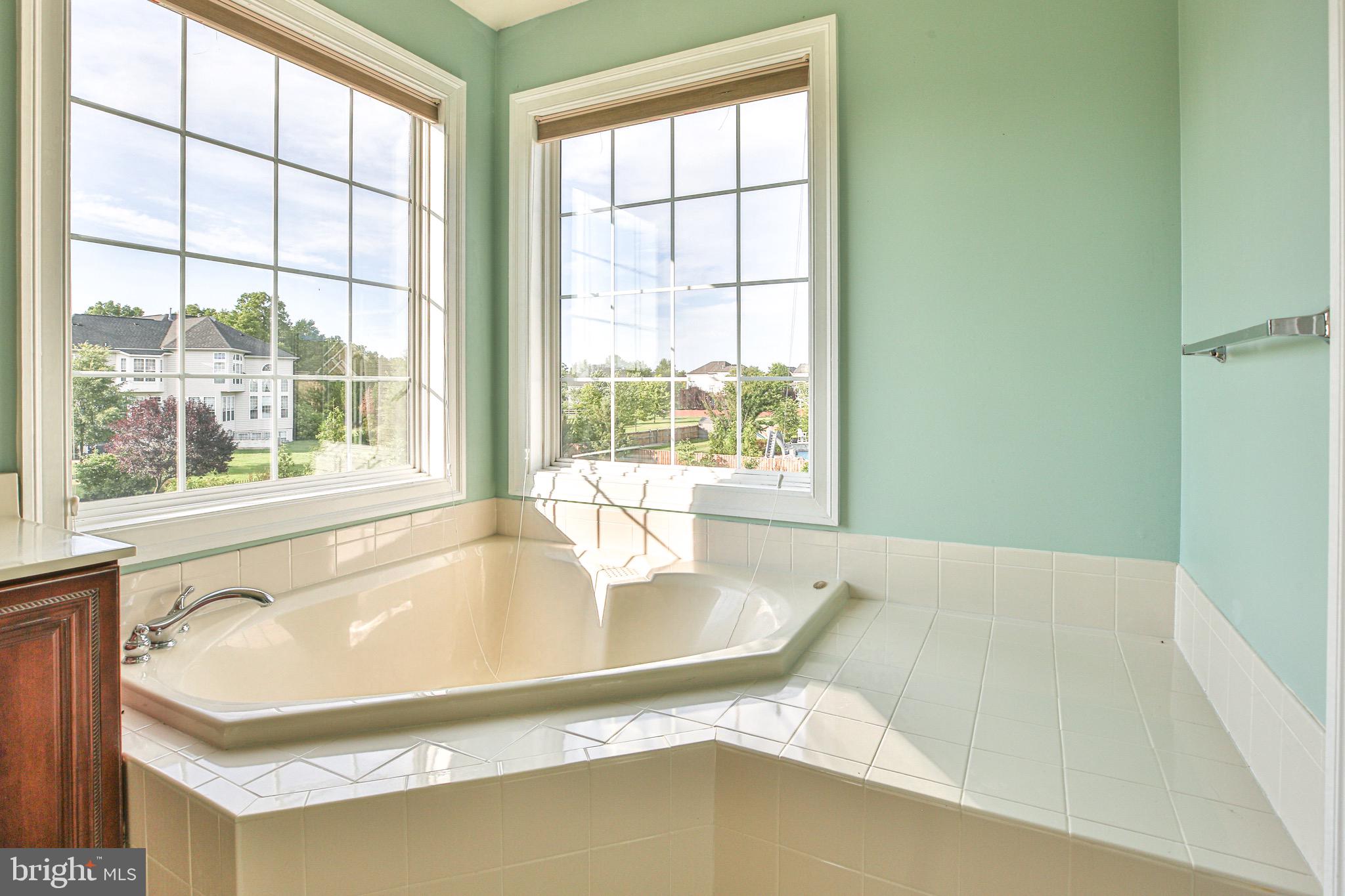 43388 Cedar Pond Place Chantilly, VA 20152 - Photo 40 of 67