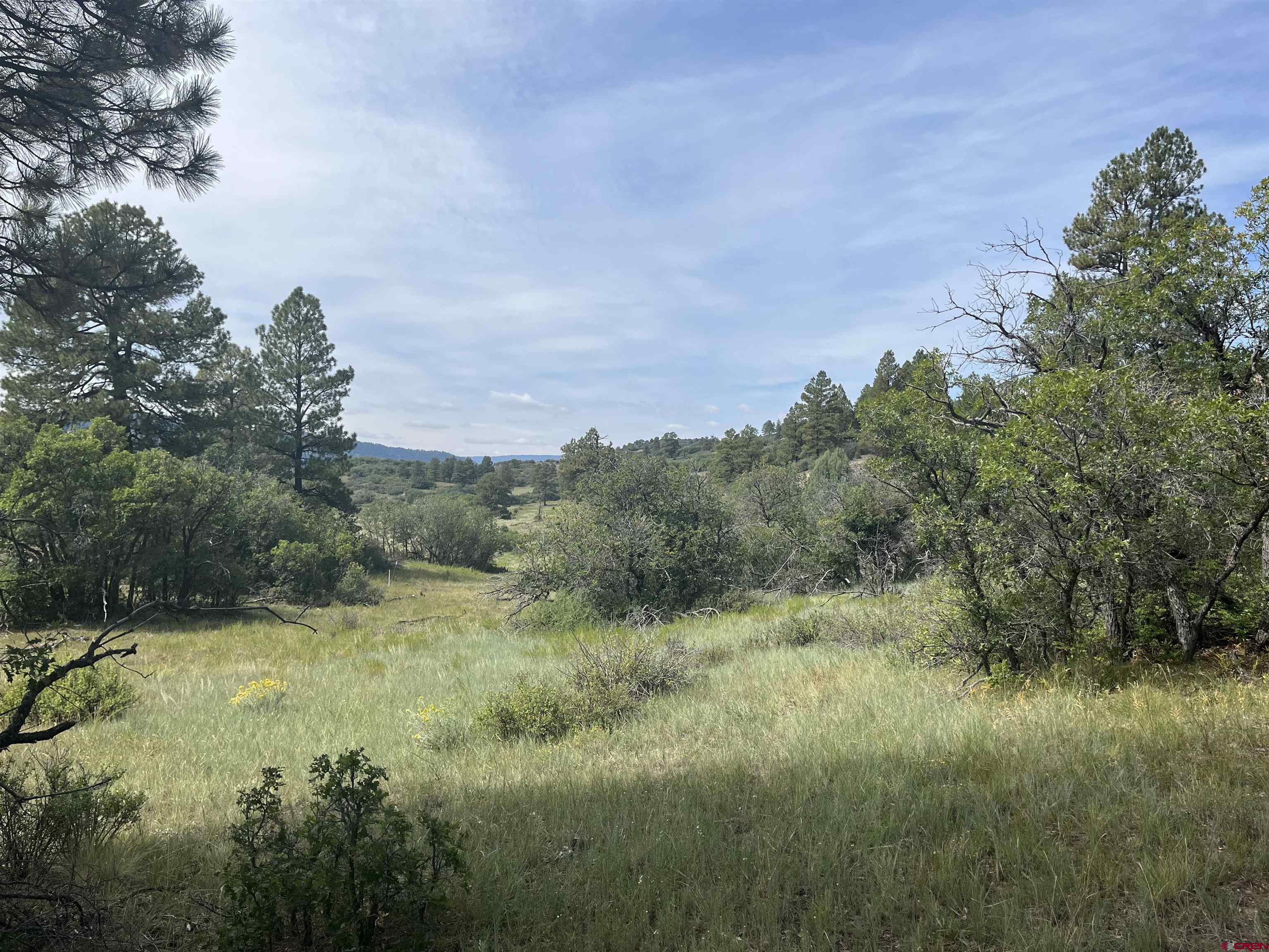 257 East Arbol Park Dr  