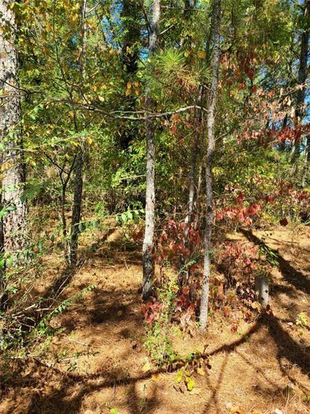 0 Scarlet Lane Northeast Rome, GA 30161 - Photo 12 of 17 a view of a tree