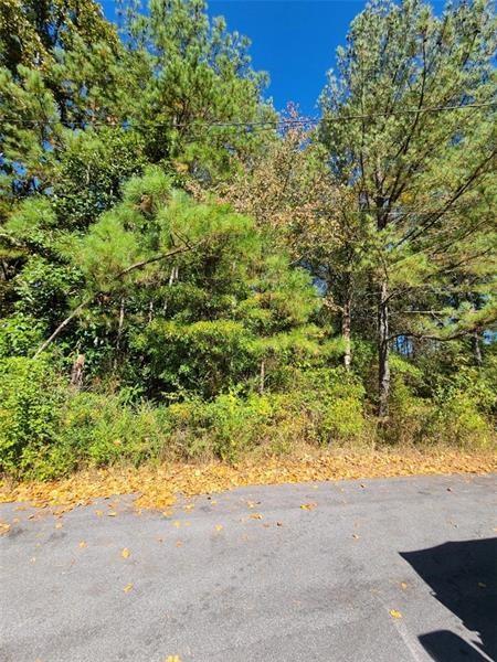 0 Scarlet Lane Northeast Rome, GA 30161 - Photo 13 of 17 a view of a yard with a tree