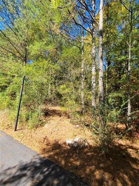0 Scarlet Lane Northeast Rome, GA 30161 - Photo 14 of 17 a view of a yard with a tree
