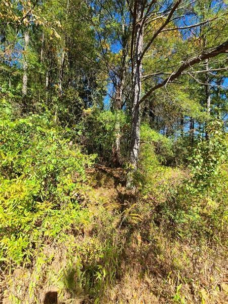 0 Scarlet Lane Northeast Rome, GA 30161 - Photo 17 of 17 a view of a tree with a yard