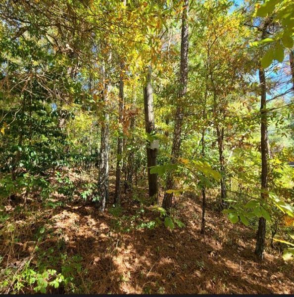 0 Scarlet Lane Northeast Rome, GA 30161 - Photo 2 of 17 a view of a yard with plants and trees