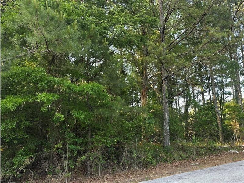 0 Scarlet Lane Northeast Rome, GA 30161 - Photo 5 of 17 a view of a lush green forest