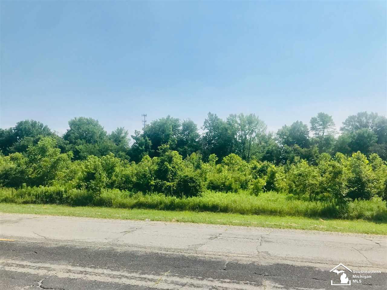 4826 North Custer Road Monroe, MI 48162 - Photo 16 of 17