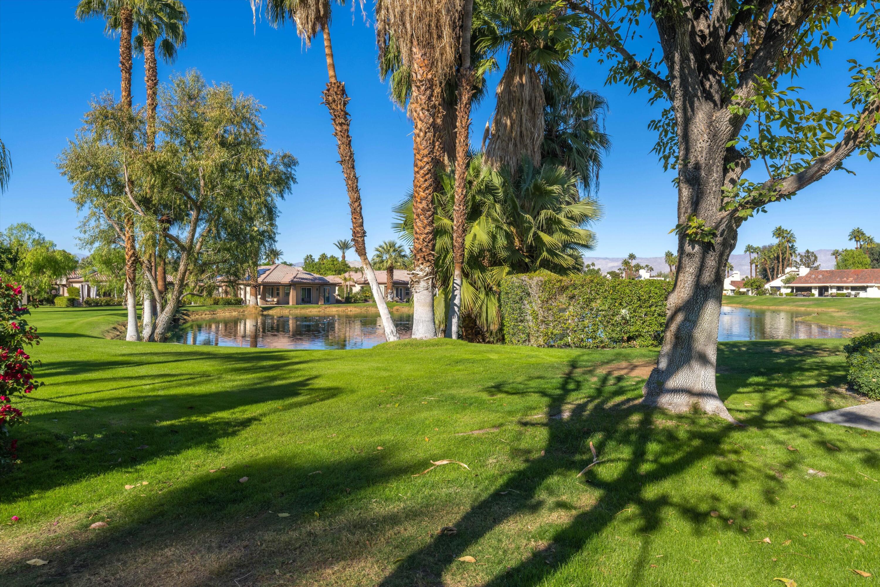 464 Sunningdale Drive Rancho Mirage, CA 92270 - Photo 14 of 47 a view of a park with large trees