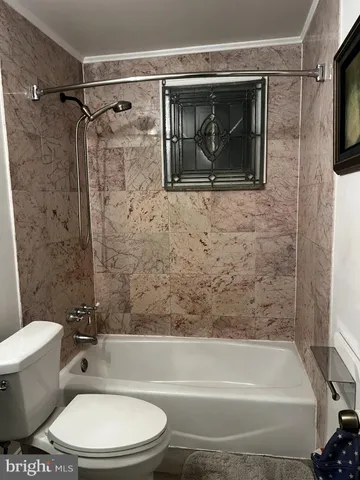 a bathroom with a toilet and a bathtub