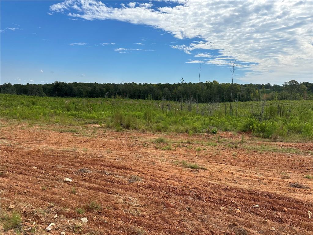 Lot 7 Ridge Road Seale, AL 36875 - Photo 8 of 10 View of nature with a rural view