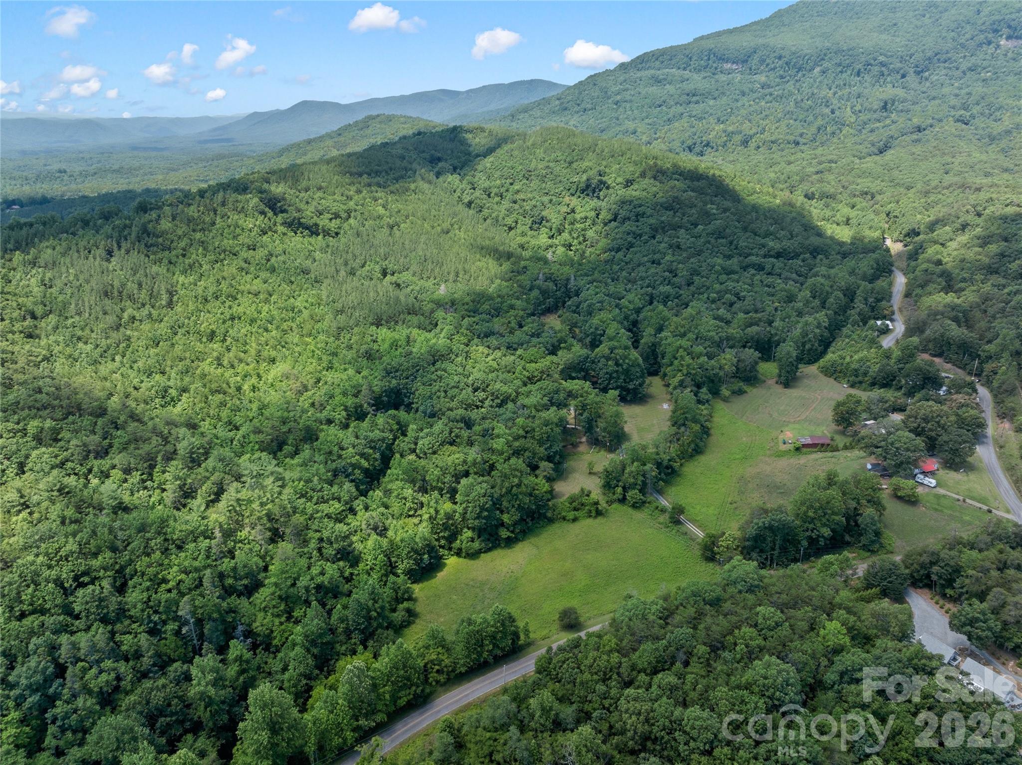 563 Burgess Road Mill Spring, NC 28756 - Photo 41 of 43