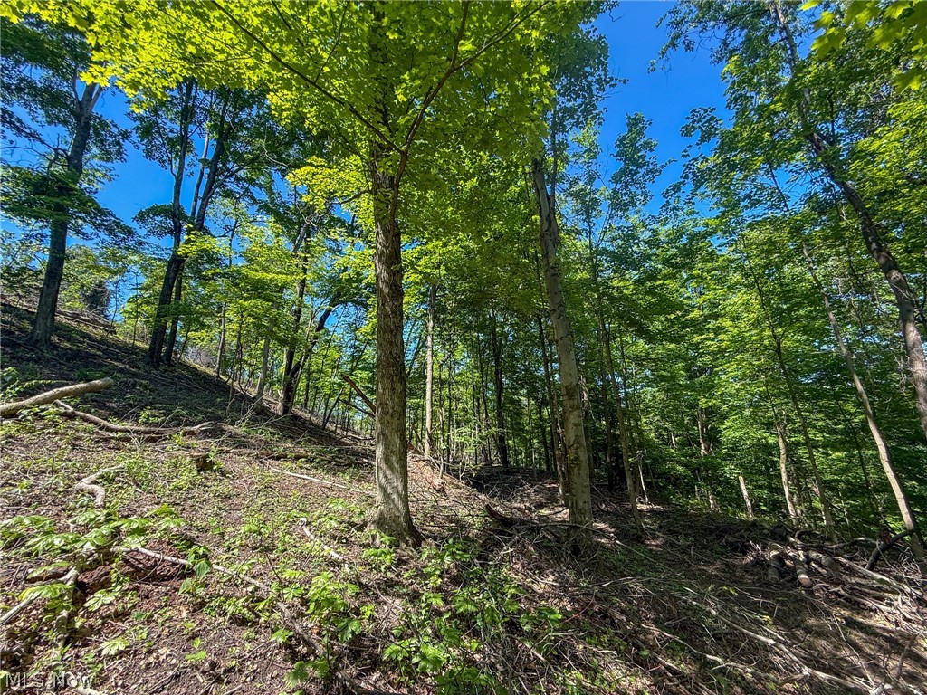 Lot 1 Altamont Road Mingo Junction, OH 43938 - Photo 22 of 31 Gallery Image 22