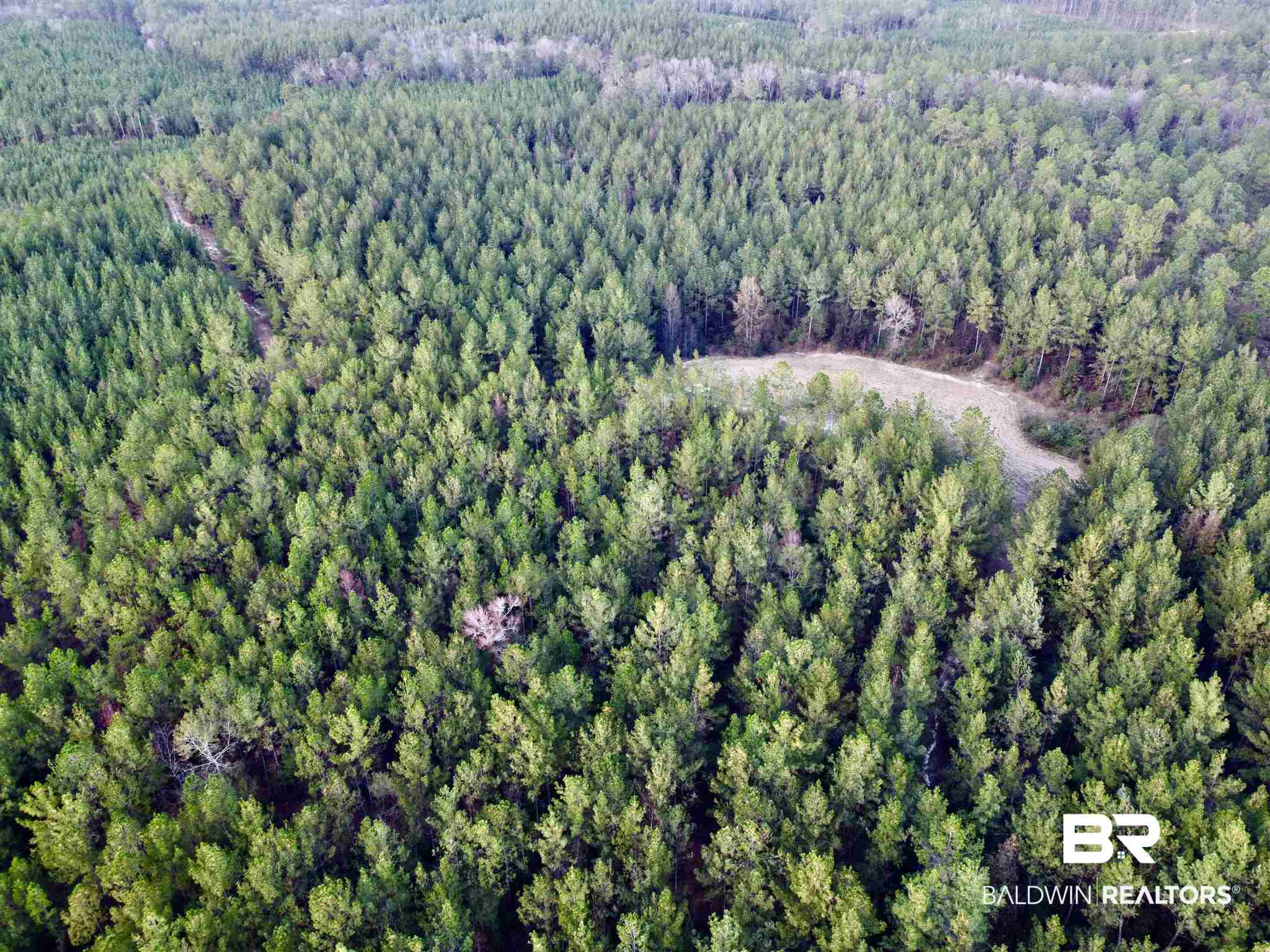 0 Whitetail Run Chatom, AL 36518 - Photo 16 of 29