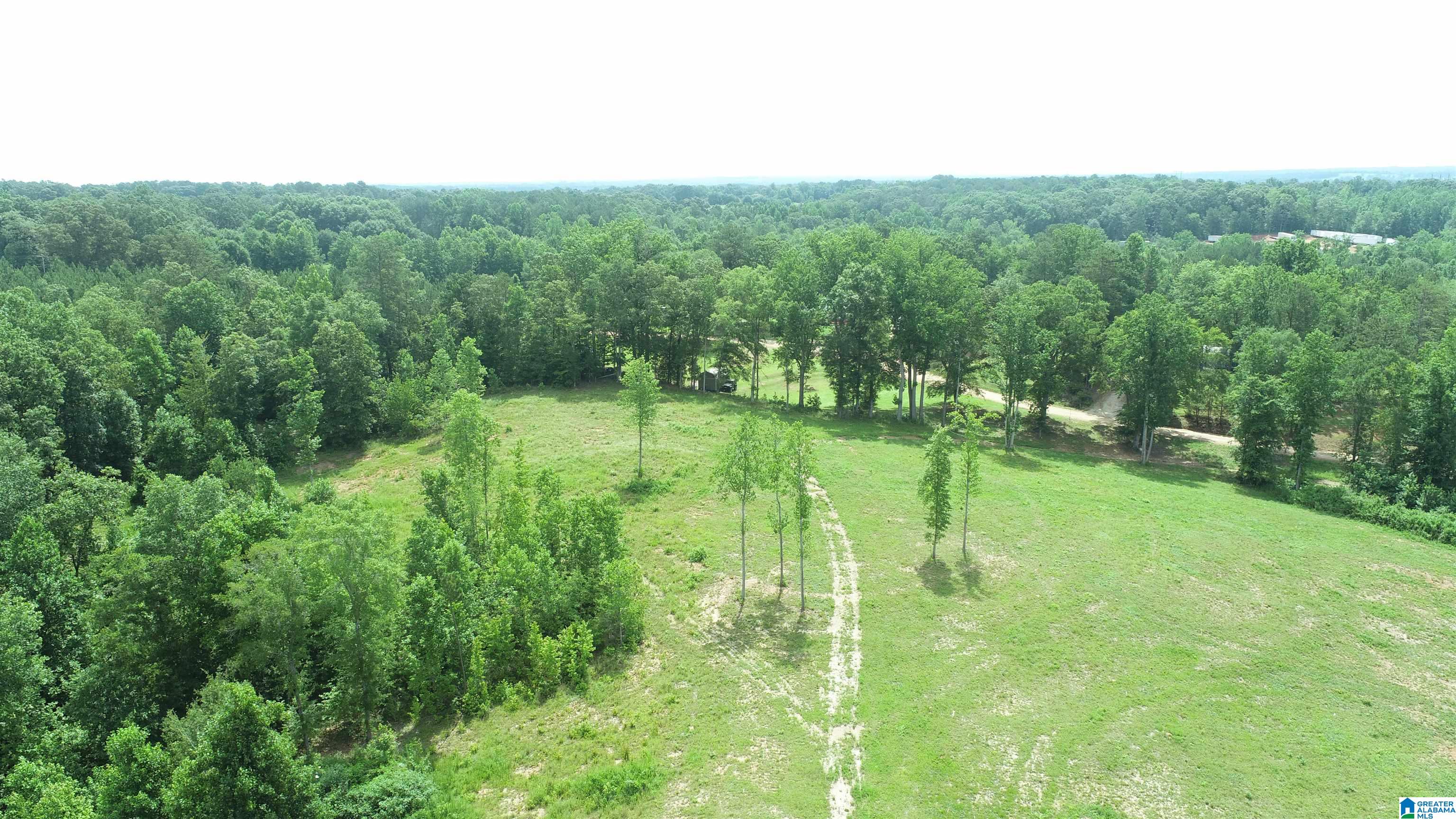 4 County Road Wedowee, AL 36278 - Photo 16 of 16