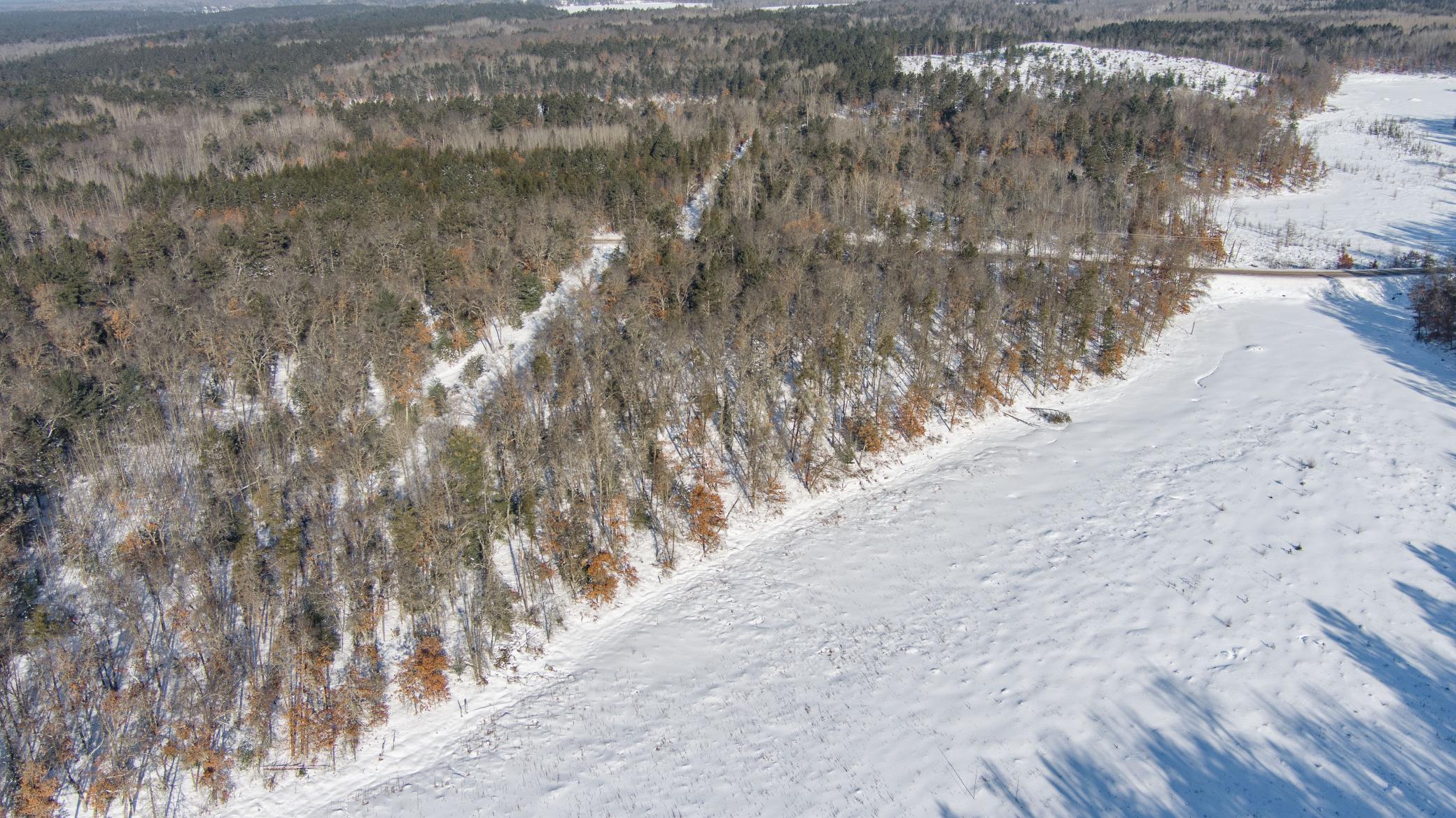 30282 North Des Moines Lake Road Webb Lake, WI 54830 - Photo 14 of 16